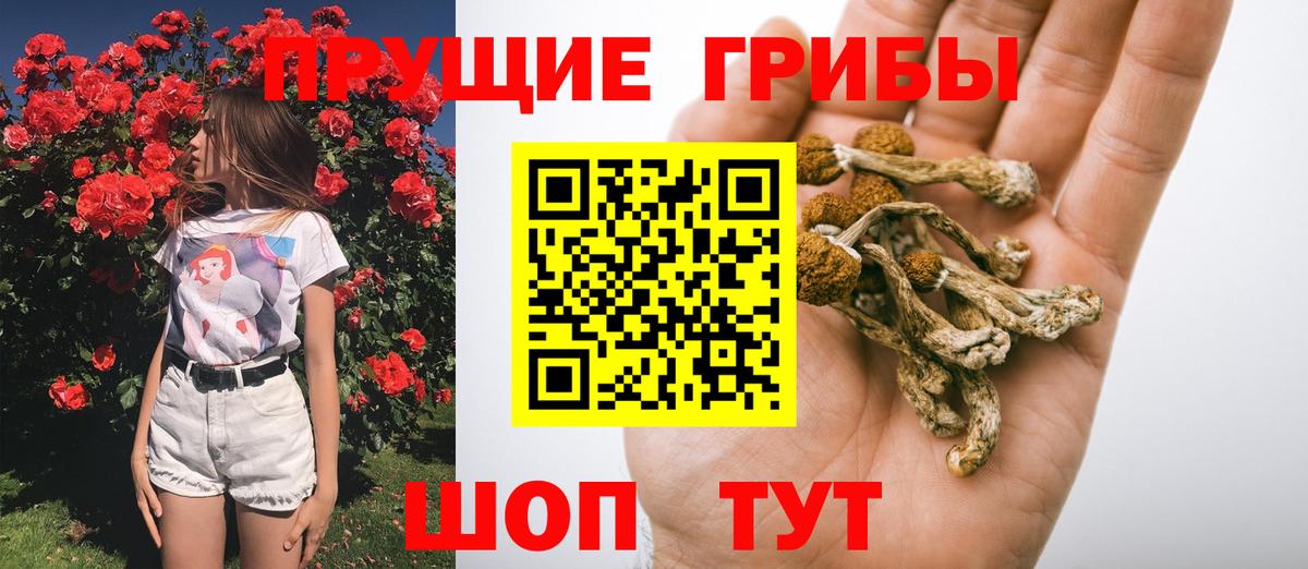 Североморск  наркота  Вход с VPN  Галлюциногенные грибы MAGIC MUSHROOMS 